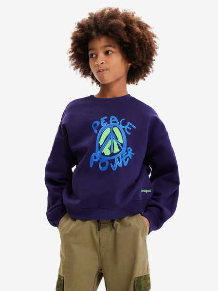 Desigual Arthur Children's sweatshirt